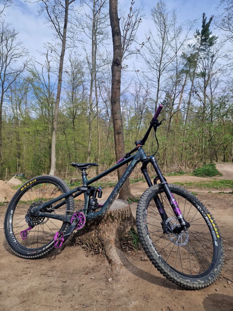 Norco Sight 2023
