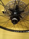 Sada kol WTB STX i23, 32h, tubeless ready (boost verze)