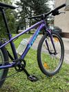 Trek Wahoo