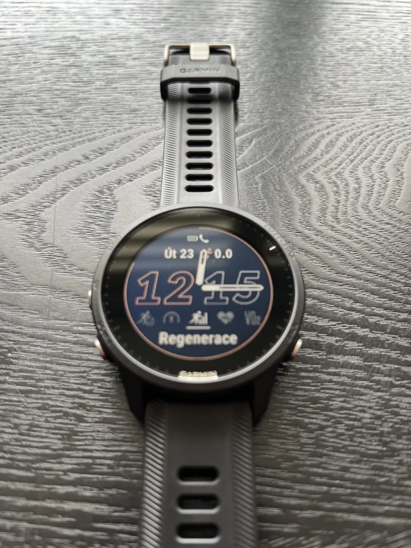 Garmin Forrunner 955 Black