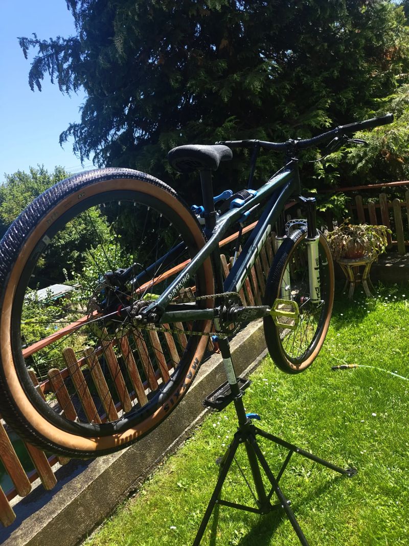 CTM Dirtking pro