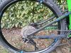 Kona heihei DL
