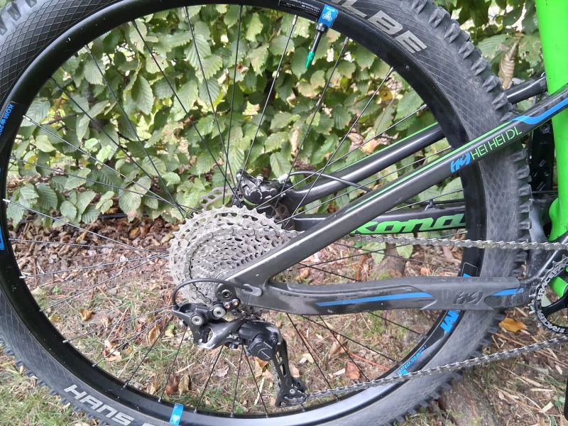Kona heihei DL