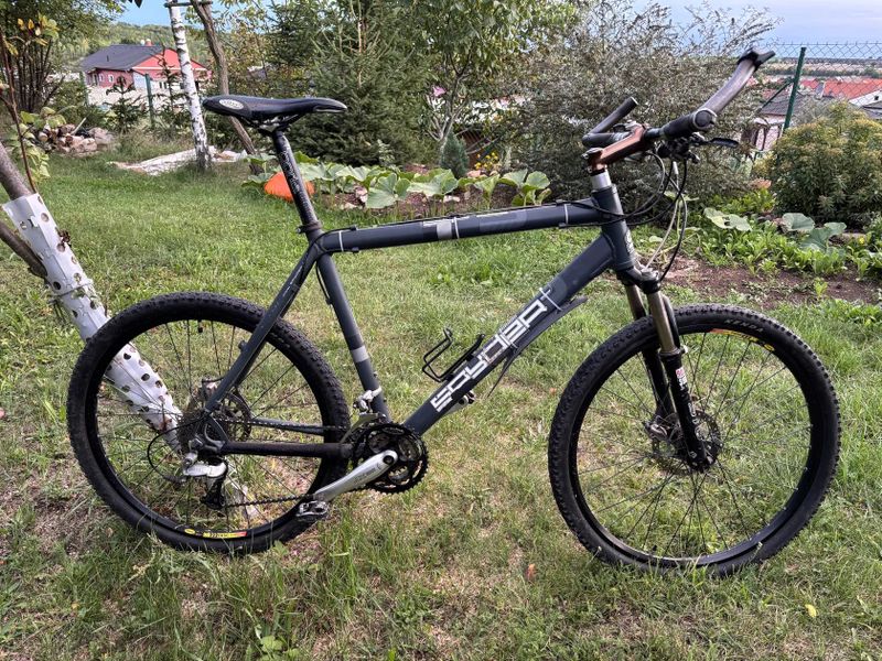 Spyder