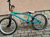 Mongoose culture