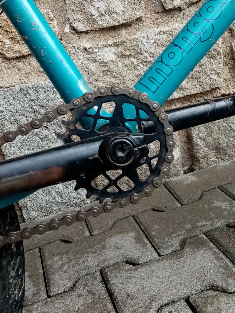 Mongoose culture