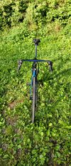 De Rosa IDOL