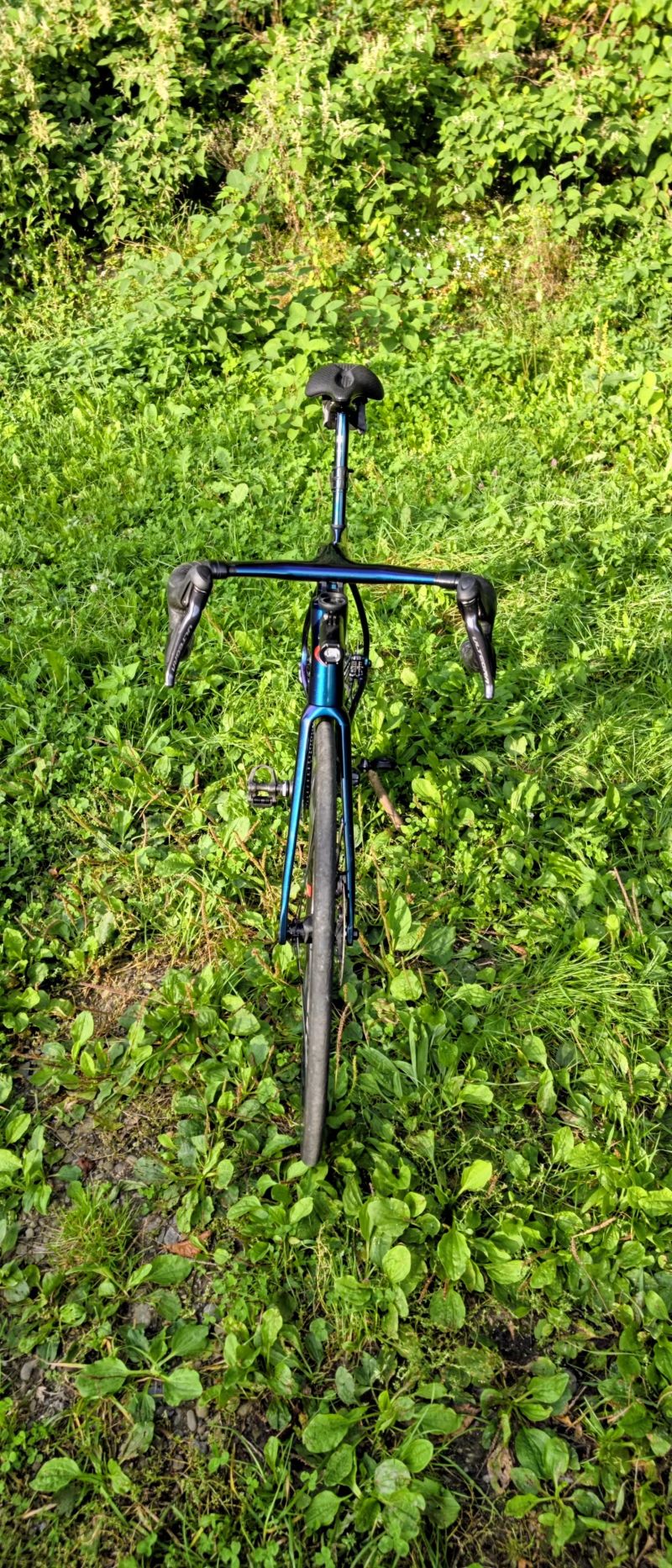 De Rosa IDOL