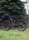 Orbea Rallon