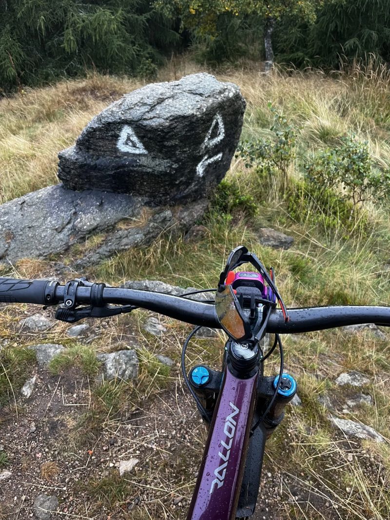 Orbea Rallon