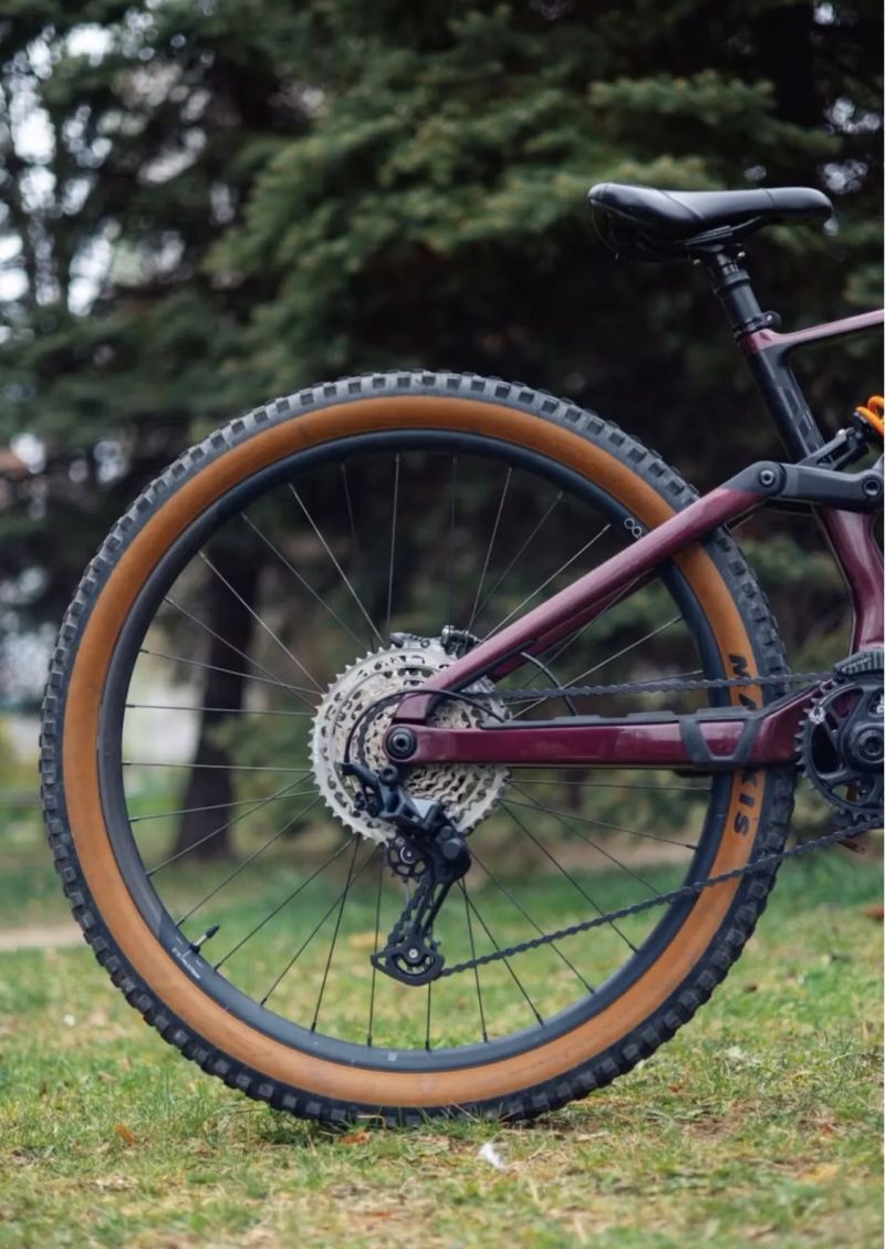 Orbea Rallon