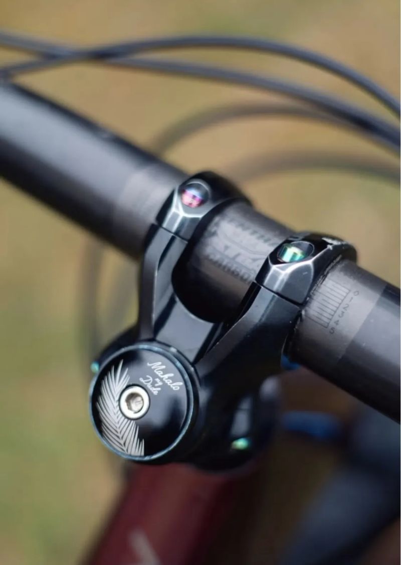 Orbea Rallon