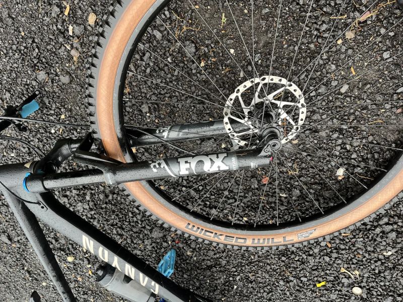 XC/Trail 29 Canyon Grand Canyon 8, L, 120mm, Shimano/Fox
