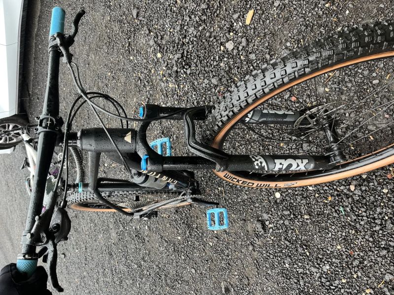 XC/Trail 29 Canyon Grand Canyon 8, L, 120mm, Shimano/Fox
