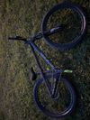 CTM dirtking