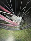 CTM dirtking