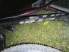 CTM dirtking
