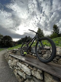 CTM dirtking