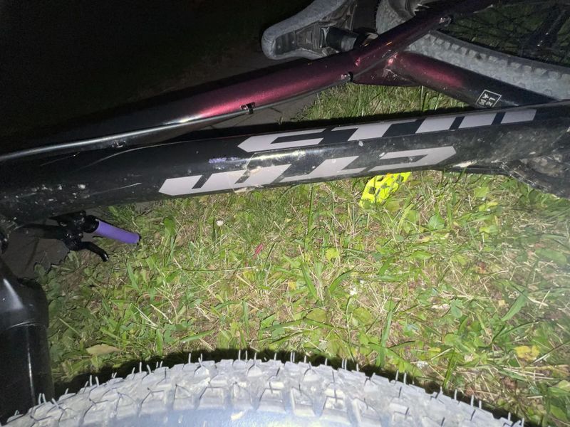 CTM dirtking
