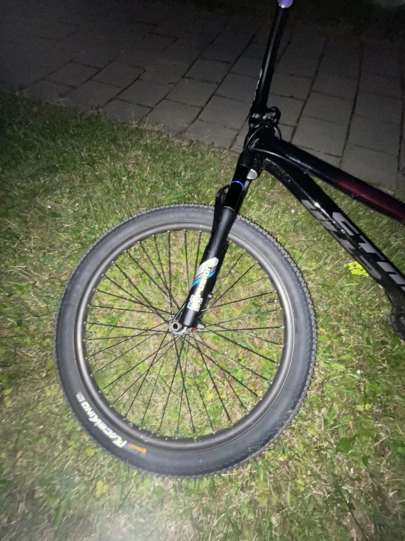 CTM dirtking