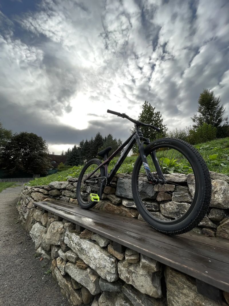 CTM dirtking
