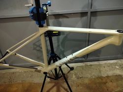 Canyon Exceed CF