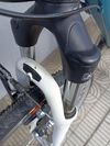 Specialized Ariel vel.M"