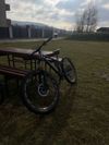 Qayron Qayron Carma MK2 EN 1F - Custom