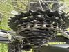 Specialized ROCKHOPPER SPORT 29