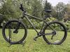 Specialized ROCKHOPPER SPORT 29