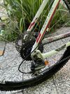 KTM Penny Lane