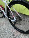 KTM Penny Lane