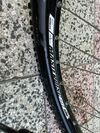 KTM Penny Lane