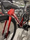 Bottecchia Crontothlon