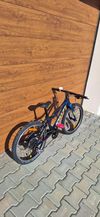 Amulet Tomcat 20" 2022