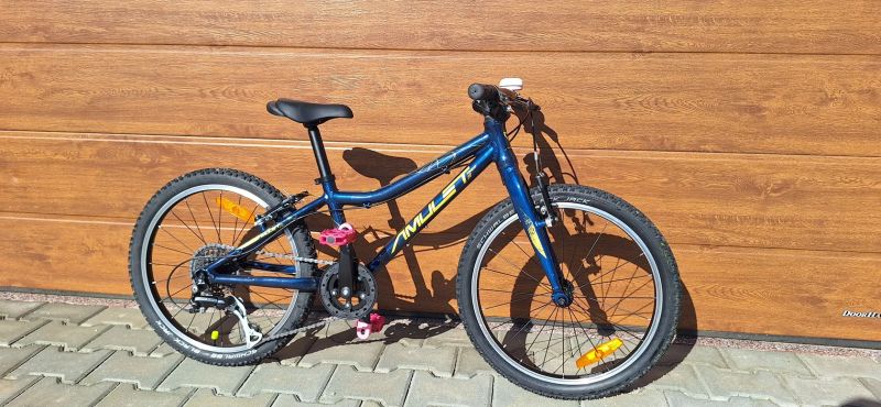 Amulet Tomcat 20" 2022