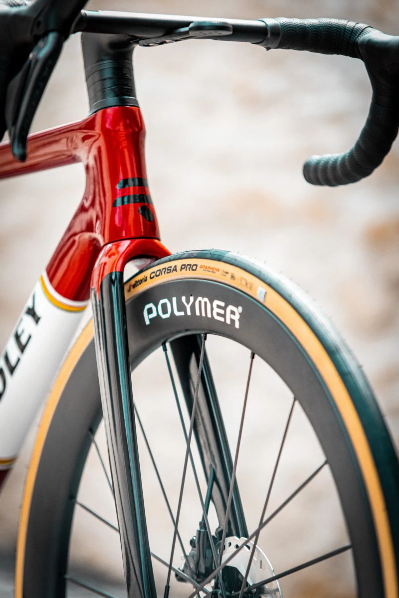 Ridley Falcn RS Herritage / Polymer Workshop - CUSTOM