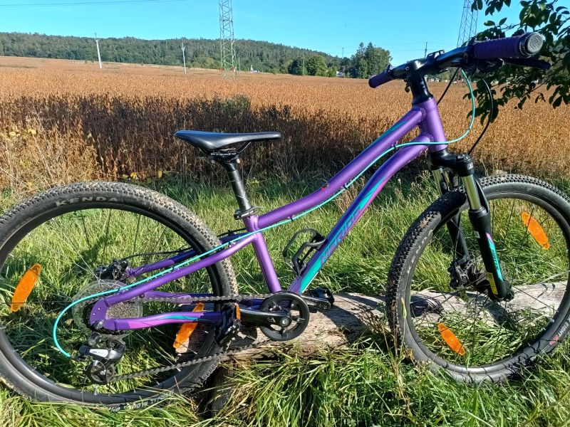 MERIDA MATTS J. 24