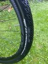 Giant expoler