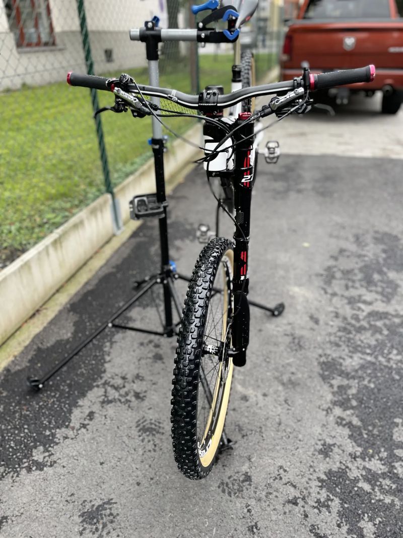 Cannondale Jekyll carbon 2