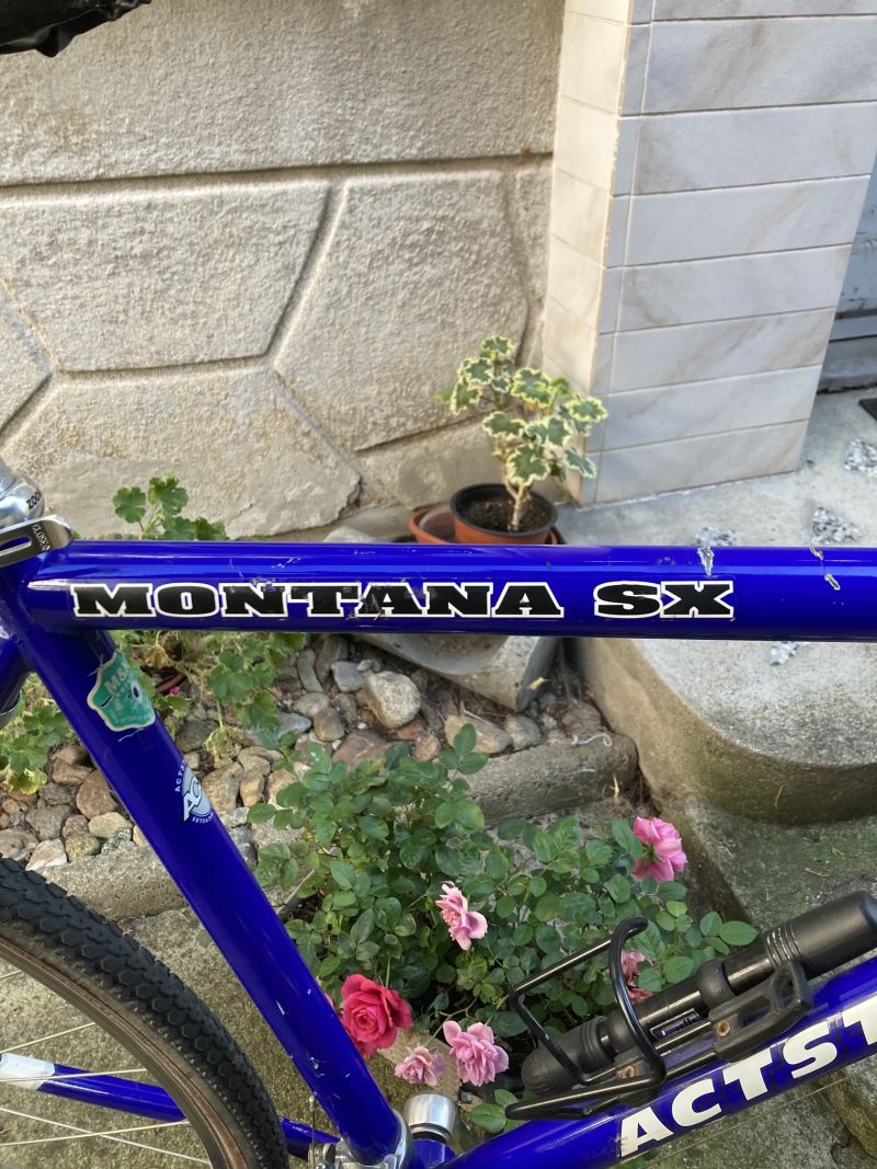  Acstar Montana SX