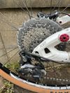 Cannondale Scalpel 29er