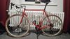 Colnago Sport 1996