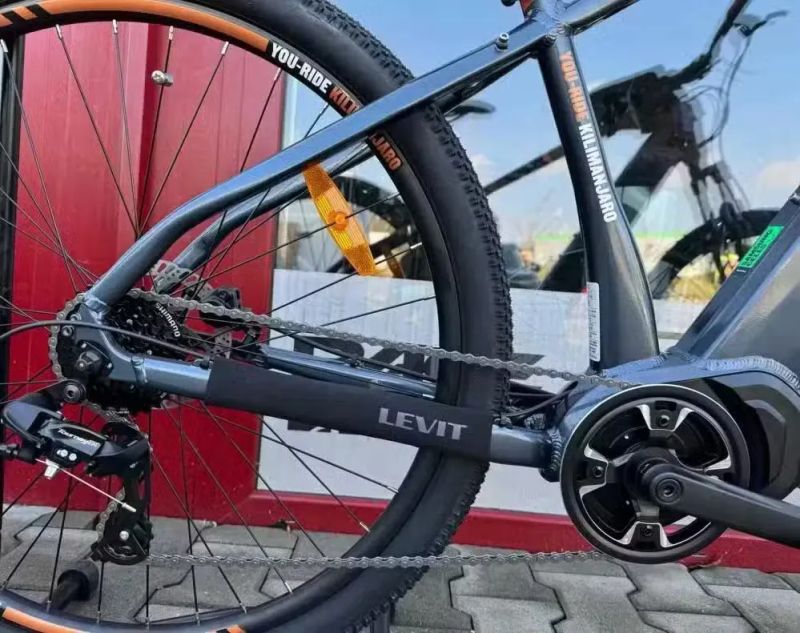 🔥🔥 SLEVA 15.000Kč -38% 🔥🔥 ELEKTROKOLO TOTEM YOUIN KILIMANJARO 29" - středový motor