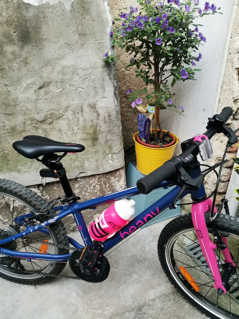 Dětské kolo Beany 20"