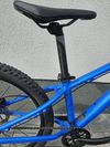 Giant STP 24"