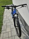 Giant STP 24"