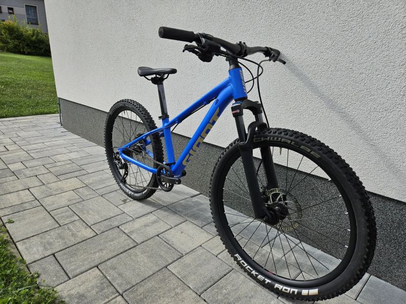 Giant STP 24"