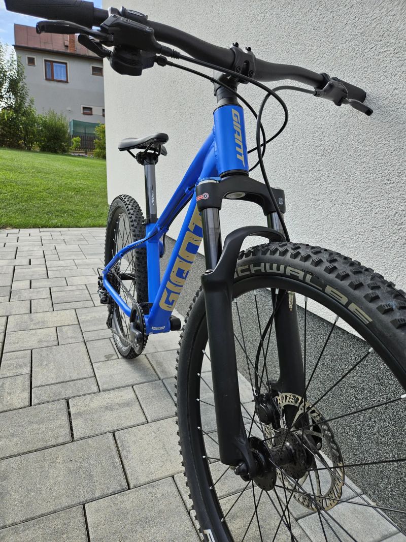 Giant STP 24"