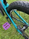 CTM DIRTKING EXPERT (2021)
